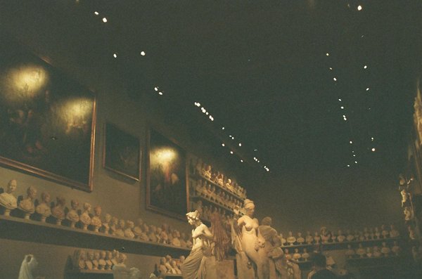 Le rôle des entreprises dans la déforestation : responsabilités et initiatives