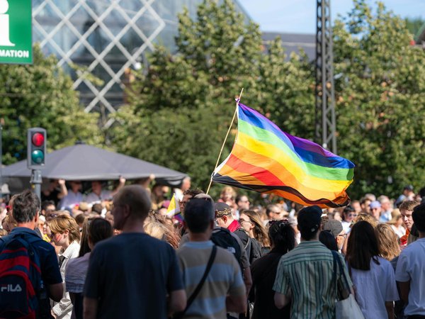 Le rôle des abeilles dans la préservation de la flore